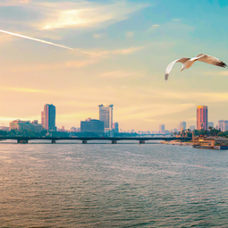 Bird Flying Over The Nile River